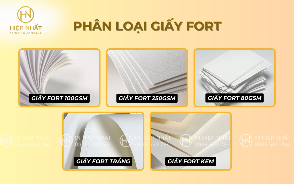 Giấy Fort có mấy loại?