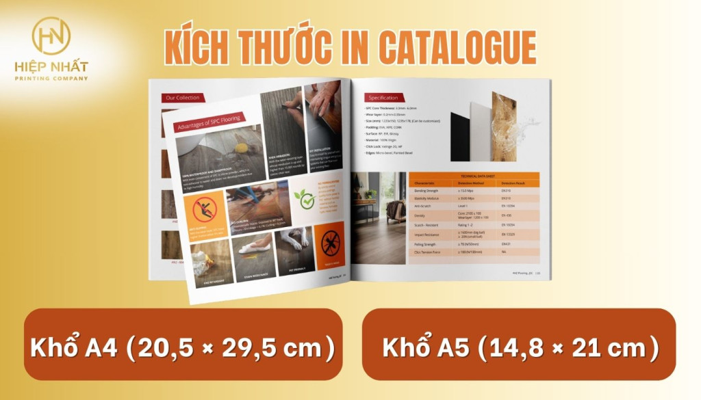 Catalogue chuẩn khổ sẽ tạo cảm giác chuyên nghiệp, dễ theo dõi thông tin